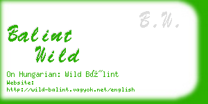 balint wild business card
